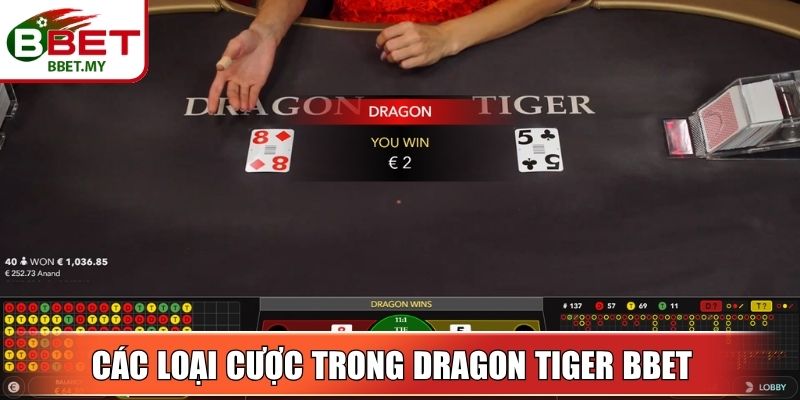 Các loại cược xuất hiện phổ biến trong Dragon Tiger BBet