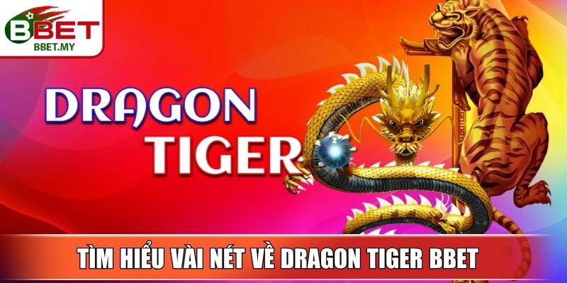 Tìm hiểu vài nét về Dragon Tiger BBet