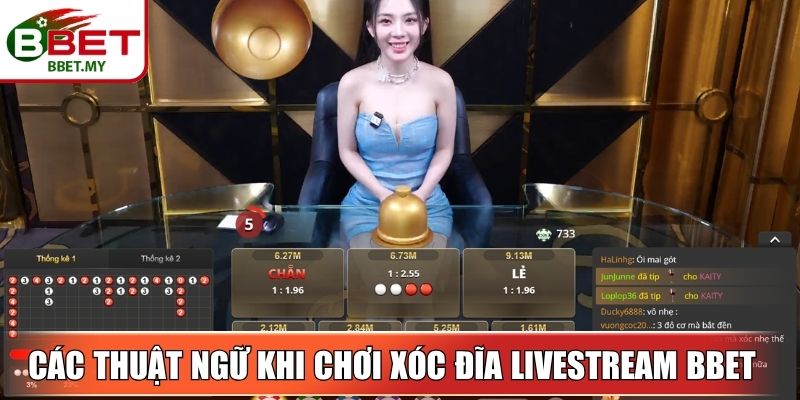 Các thuật ngữ cần biết khi chơi xóc đĩa livestream BBet